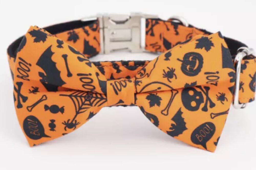 Halloween Dog Collar w/ Removable Cute Bow Tie Pumpkin Print New Size M
